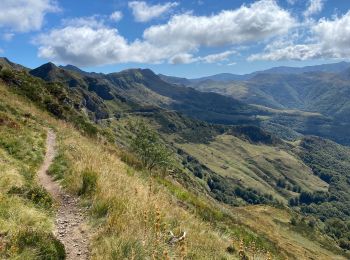 Excursión Senderismo Le Falgoux - Chavaroche - Photo