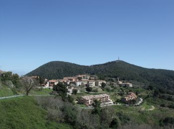 Trail On foot Castiglione della Pescaia - Sentiero Ampio - Photo