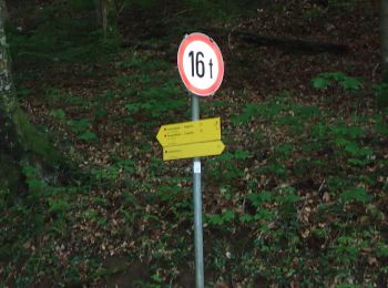 Excursión A pie Elsbethen - Kinder-Wagen Wanderung Glasenbach-Klamm - Photo