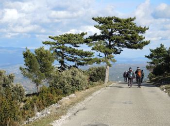 Percorso Marcia Bonnieux - PF-Bonnieux - De la Sanguinette à la Roque des Bancs - Photo