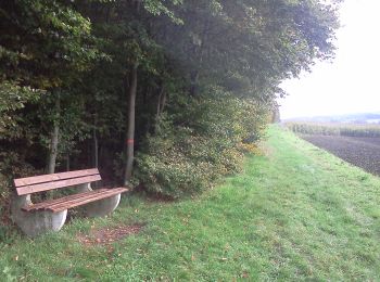 Tour Zu Fuß Stemshorn - Gelbe Route - Stemweder Berg - Photo