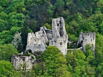 Excursión A pie  - Grgosova špilja - Slani dol - Photo