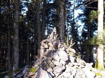 Tour Zu Fuß Gengenbach - Gengenbach - Rebmesserstein - Photo