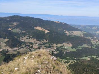 Excursión Senderismo Vailly - la croix aux filles - Photo