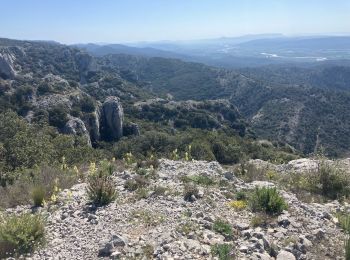 Percorso Sentiero Cheval-Blanc - Font de l’Orme-Croix de Fer-Menerbes-Pic Faiendre(17K 950D+) - Photo