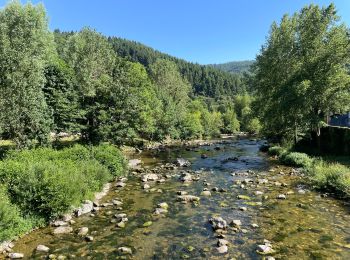 Randonnée Marche Avène - Avène La plaine de Sadde - Photo