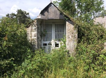 Tour Wandern Momignies - Momignie 20,5 km - Photo