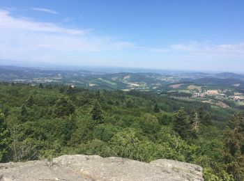 Randonnée Marche Propières - Propieres roche ajoux  - Photo