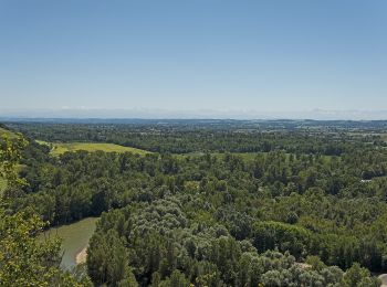 Excursión A pie Clermont-le-Fort - Boucle de Notre-Dame des Bois - Photo