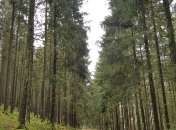 Tocht Stappen Amel - Heppenbach (Amel) - Photo