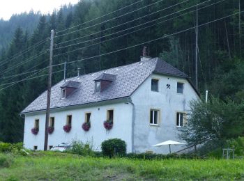 Tocht Te voet Gemeinde Neuberg an der Mürz - Wanderweg 442 - Photo