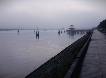 Excursión Senderismo Nieuwpoort - sgr kust (gr régional côte) day 2/4 - Photo