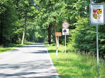 Tocht Te voet Wiesenburg/Mark - Naturparkwanderweg 70 - Photo