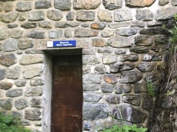 Excursión Senderismo Sainte-Foy-Tarentaise - Tour dans la forêt du miroir  - Photo