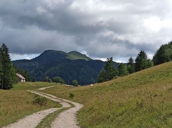 Tocht Stappen Billiat - etape 24 : ferme Retord - chalet d'arvières - Photo