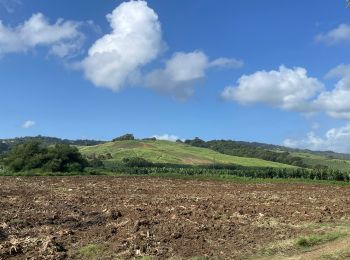 Trail sport La Trinité - Boucle Baie des Tresors-Gallion-Baie des Trésors  - Photo