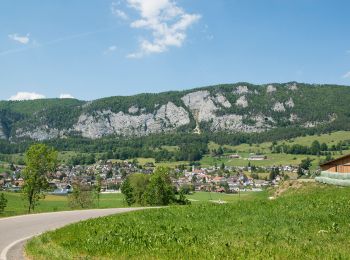 Tour Zu Fuß Balm bei Günsberg - Balmberg Passhöhe - Welschenrohr - Photo