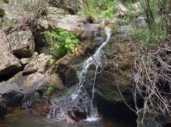 Tour Wandern Arphy - Cascade d'Orgon/ monument André Chamson  - Photo