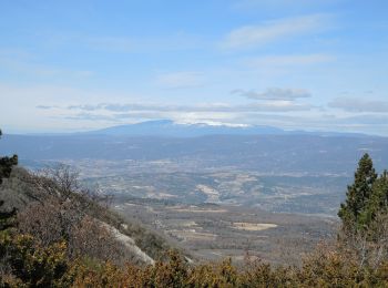 Excursión Senderismo Cucuron - 2017 03 08-Le Mourre Nègre par Cucuron - Reco - Photo