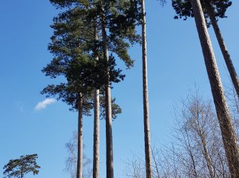 Randonnée Marche Villers-Cotterêts - Abbaye, fontaine en forêt  - Photo