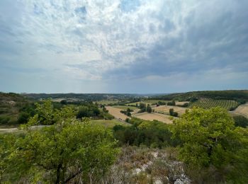 Excursión Senderismo Barguelonne-en-Quercy - Bagat - saint pantaleon - Photo