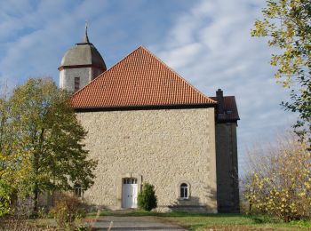 Randonnée A pied Scheden - Rundwanderweg Scheden 5 - Photo