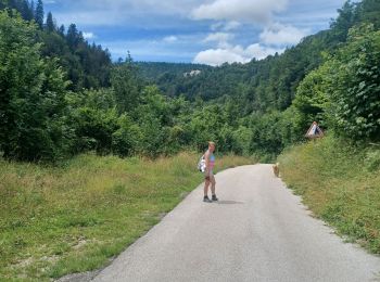 Excursión Senderismo Hauts de Bienne - Le trou bleu Morez - Photo