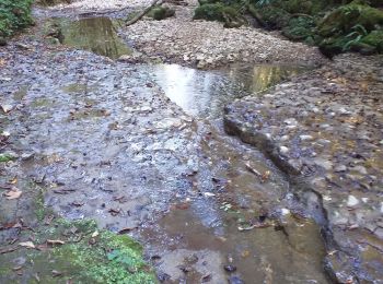 Trail Walking Ornans - Ornans cascade Boneille - Photo