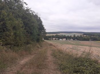 Tour Wandern Saint-Aubin - St Aubin - Fontaine Mâcon - St Aubin - Photo