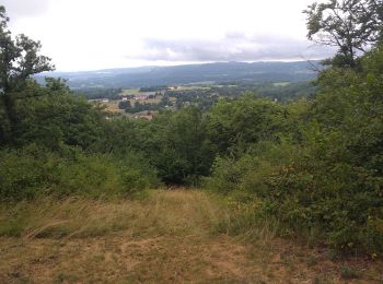 Randonnée Marche Crosey-le-Petit - crosey le petit - Photo