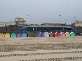 Randonnée Marche nordique Le Touquet-Paris-Plage - Boucle marche nordique en solo - Photo