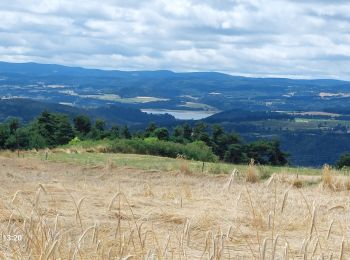 Tour Wandern Le Bouchet-Saint-Nicolas - Etape 2 Bouchet st Nicolas  Pradelles  - Photo