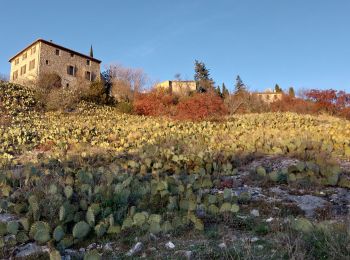 Excursión Senderismo Méthamis - Sentiers sauvage de Méthamis - Photo