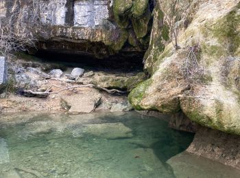 Tour Wandern Ferrières-les-Verreries - Le chemin des verriers  - Photo