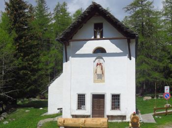 Tour Zu Fuß Bognanco - (SI E57) Rifugio Alpe Laghetto - Rifugio San Bernardo - Photo