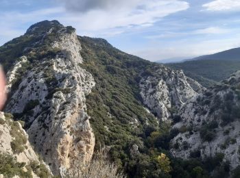 Tour Varia Termes - termes 1ere boucle - Photo