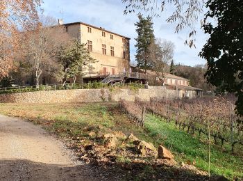 Tocht Stappen Vidauban - Vidauban Astros - Photo