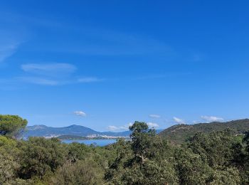 Tocht Stappen Pietrosella - rando du pénitencier  - Photo