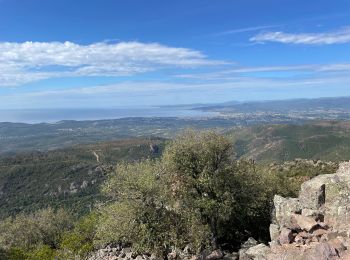 Tour Wandern Fréjus - Esterel  - Photo