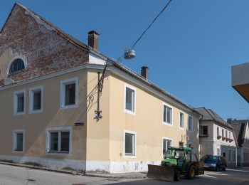 Tocht Te voet Feldkirchen an der Donau - Schlösserrunde - Photo