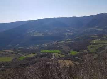 Excursión Marcha nórdica Les Plans - La Fous - Mont Mayres - Grézac - Photo