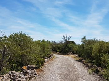 Trail Bicycle tourism Narbonne - Narbonne - Leucate - Photo