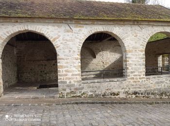 Randonnée Marche Samois-sur-Seine - Django Gilles  - Photo