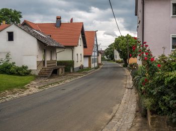 Trail On foot Litzendorf - Rundweg von Schammelsdorf zum Gügel - Photo