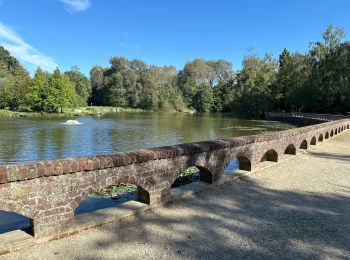 Tour Wandern Zonnebeke - Zonnebeek 18,2 km - Photo