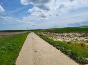 Randonnée Marche Gembloux - Ernage140524 - Photo