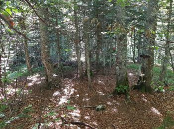 Tour Wandern Saint-Pierre-d'Entremont - Le Grand Som en boucle - Photo