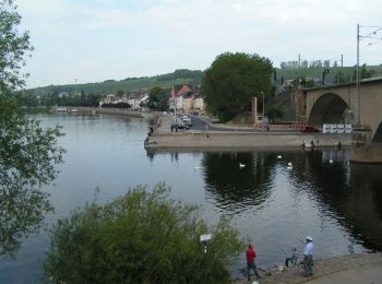 Randonnée A pied Langsur - Igel5 römerstraße - Photo