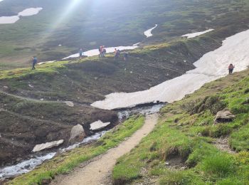 Excursión Senderismo Courmayeur - tmb2024 étape 5 - Photo