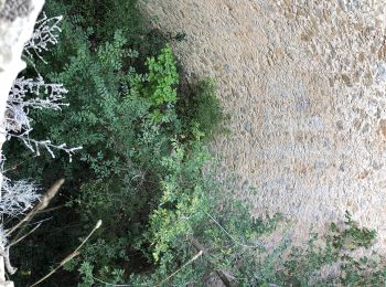 Excursión Senderismo Gémenos - Col de Bertagne depuis l'espigoulier - Photo